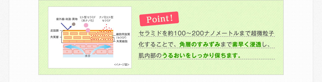 Point!　セラミドを約100～200ナノメートルまで超微粒子化することで、各層のすみずみまで素早く浸透し、肌内部のうるおいをしっかり保ちます。