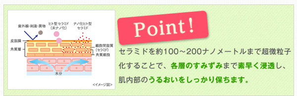 セラミドを約100～200ナノメートルまで超微粒子化することで、各層のすみずみまで素早く浸透し、肌内部のうるおいをしっかり保ちます。